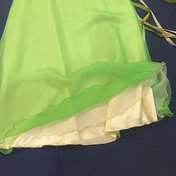 Vintage Lilli Green Chiffon Maxi Skirt - Picture 7 of 17